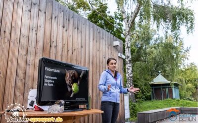 Sommer im Spreepark Berlin mit Musik, Tanz, Talk, Fledermausnacht und spannenden Führungen